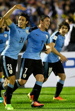 Cargar imagen en el visor de la galería, Camiseta Uruguay 2016 M