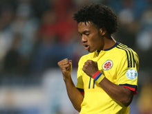 Cargar imagen en el visor de la galería, Camiseta Colombia 2015-16 M