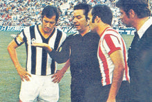 Cargar imagen en el visor de la galería, Camiseta Jappy Oso Albinegro 73