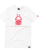 Cargar imagen en el visor de la galería, Camiseta More Champions than leagues