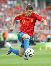 Cargar imagen en el visor de la galería, Camiseta España 2006 mundial Alemania L
