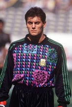 Cargar imagen en el visor de la galería, Camiseta ¡Vamos Argentina! ¡Vamos Carajo!