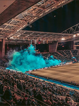 Cargar imagen en el visor de la galería, Camiseta Dragoes Azuis