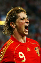 Cargar imagen en el visor de la galería, Camiseta Selección Española Eurocopa 2008 – Fernando Torres #9 – Talla M
