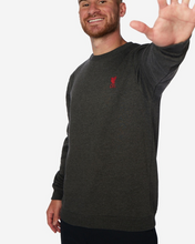 Cargar imagen en el visor de la galería, Sudadera oficial Liverpool FC talla 2XL
