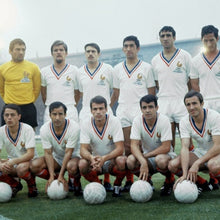 Cargar imagen en el visor de la galería, Polo Francia Coupe du Monde 1966
