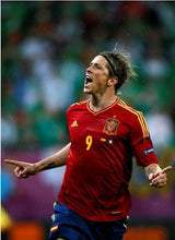Cargar imagen en el visor de la galería, Camiseta España euro 2012 M
