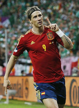 Cargar imagen en el visor de la galería, Camiseta España euro 2012 M
